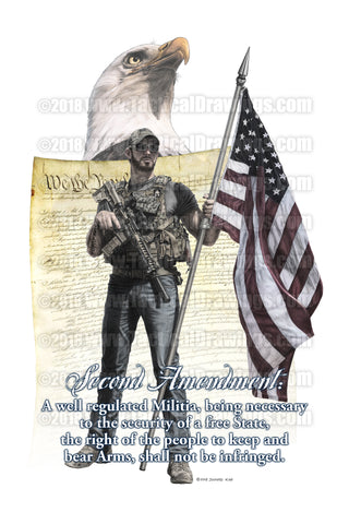 The Second Amendment