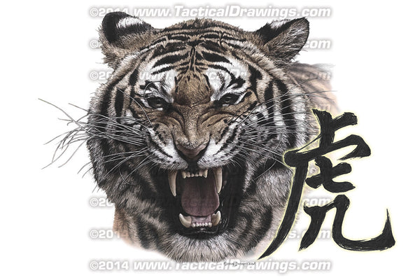 Tiger – Joonho 'JK' Kim